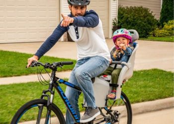 Child Bike Seat Schwinn Deluxe